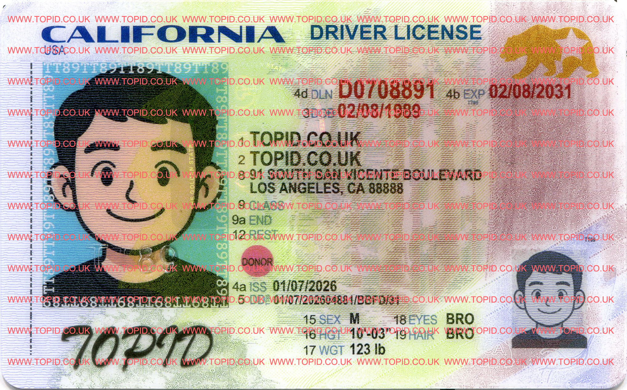 California-new-2025 - 3
