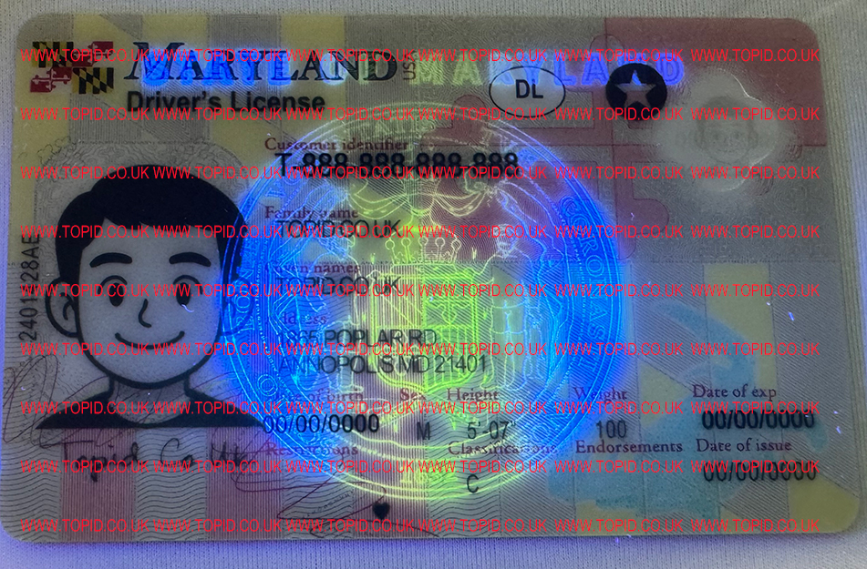 Maryland - 3