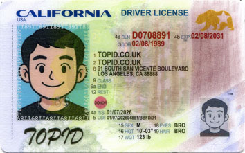 California-new-2025 - 1