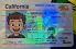 Small Size America California - View 3 - High Quality Scannable ID
