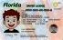 Small Size America Florida - View 4 - High Quality Scannable ID