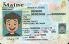 Small Size America Maine - View 4 - High Quality Scannable ID