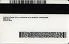 Small Size America Minnesota - View 1 - High Quality Scannable ID