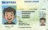 Small Size America Montana - View 4 - High Quality Scannable ID