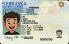 Small Size America Nebraska - View 4 - High Quality Scannable ID