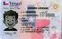 Small Size America Texas - View 4 - High Quality Scannable ID