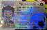 Small Size America Wisconsin - View 3 - High Quality Scannable ID
