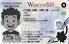 Small Size America Wisconsin - View 4 - High Quality Scannable ID